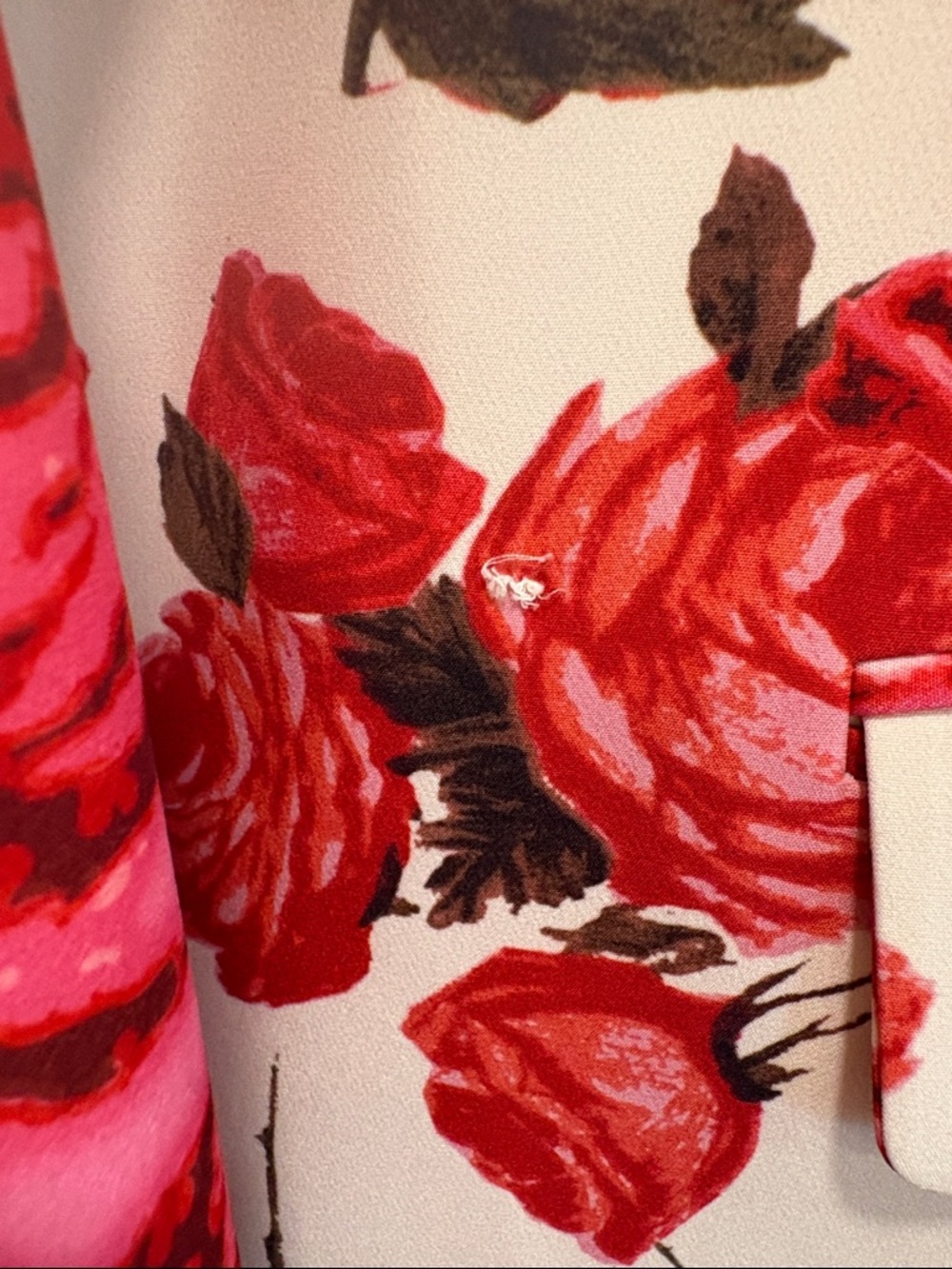 L'AGENCE Cream Blazer with Pink & Red Rose Print—GORGEOUS!! Beautiful Fabric-6 - Picture 5 of 9